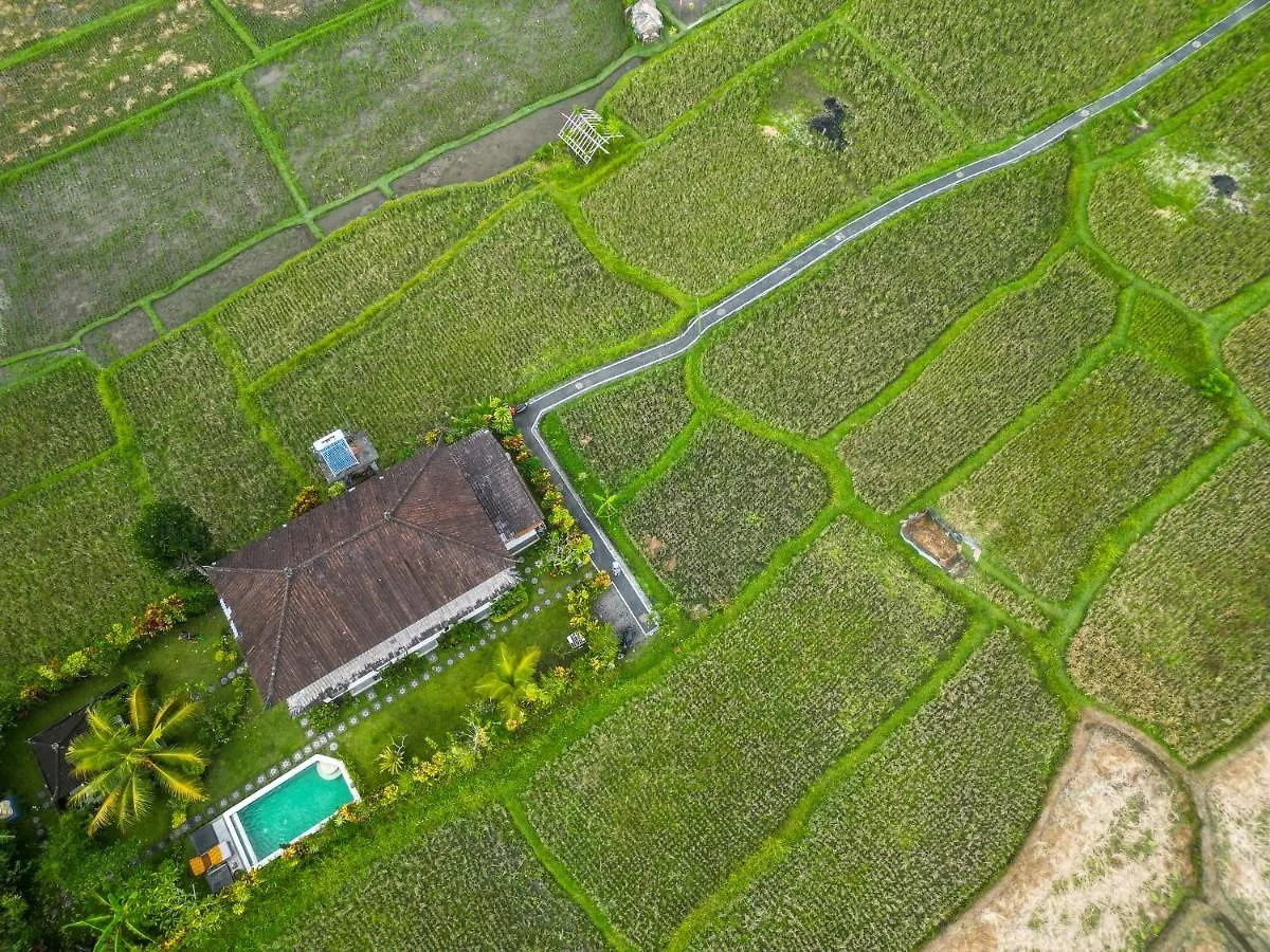 Buddha Homestay Ubud