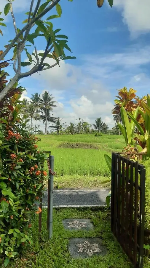 Buddha Homestay Ubud Indonesia